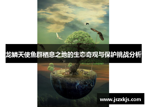 龙鳞天使鱼群栖息之地的生态奇观与保护挑战分析